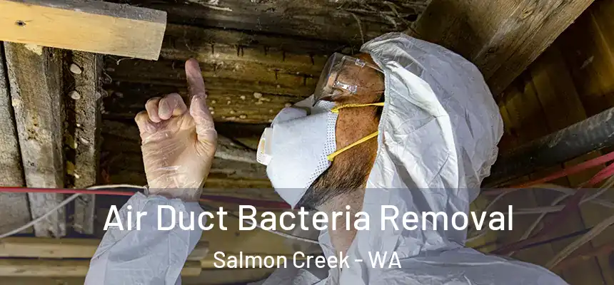  Air Duct Bacteria Removal Salmon Creek - WA