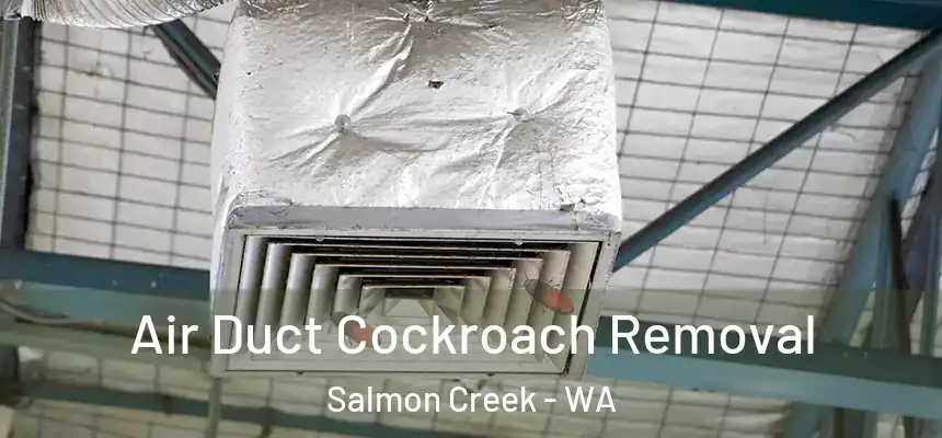  Air Duct Cockroach Removal Salmon Creek - WA