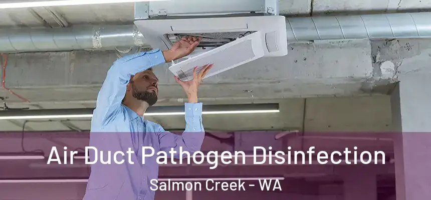  Air Duct Pathogen Disinfection Salmon Creek - WA