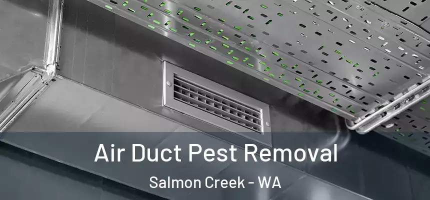 Air Duct Pest Removal Salmon Creek - WA