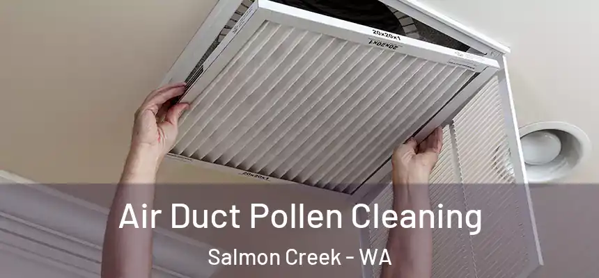  Air Duct Pollen Cleaning Salmon Creek - WA