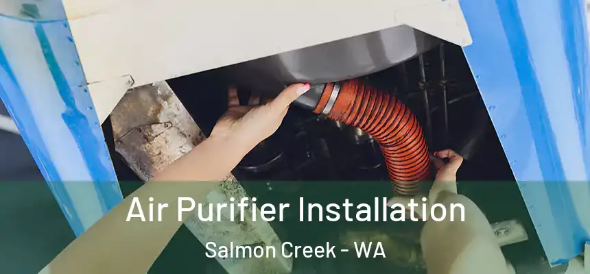 Air Purifier Installation Salmon Creek - WA