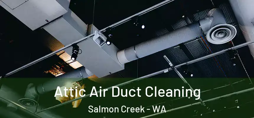 Attic Air Duct Cleaning Salmon Creek - WA