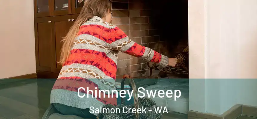  Chimney Sweep Salmon Creek - WA