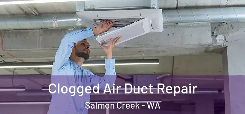  Clogged Air Duct Repair Salmon Creek - WA