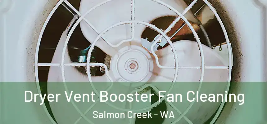 Dryer Vent Booster Fan Cleaning Salmon Creek - WA