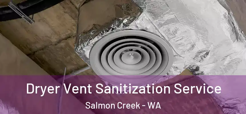 Dryer Vent Sanitization Service Salmon Creek - WA