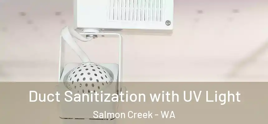  Duct Sanitization with UV Light Salmon Creek - WA