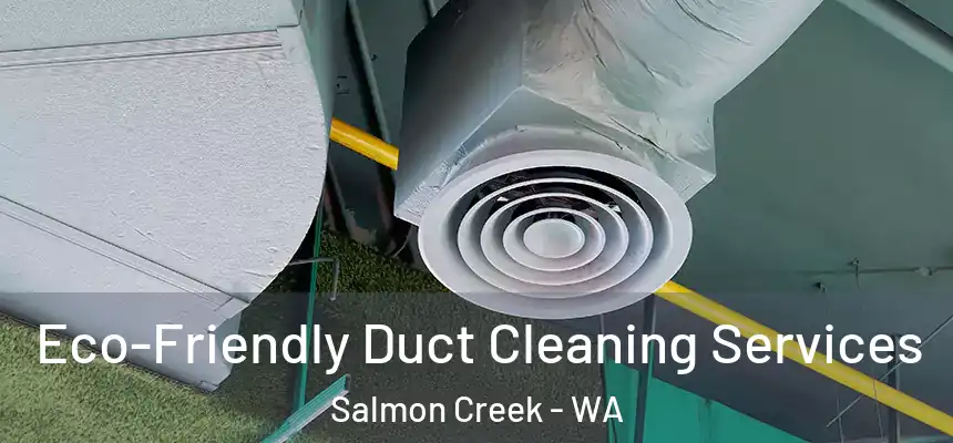  Eco-Friendly Duct Cleaning Services Salmon Creek - WA
