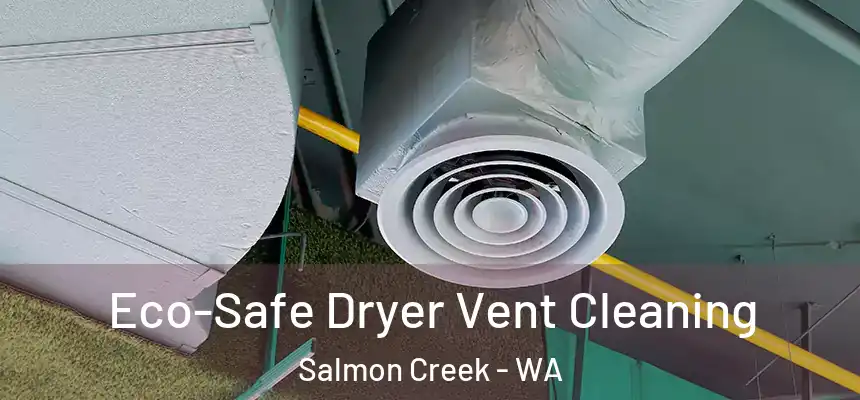  Eco-Safe Dryer Vent Cleaning Salmon Creek - WA