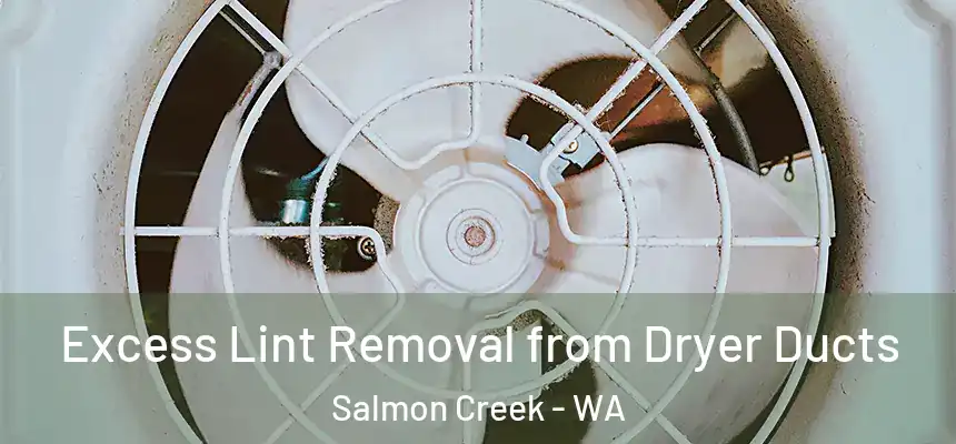 Excess Lint Removal from Dryer Ducts Salmon Creek - WA