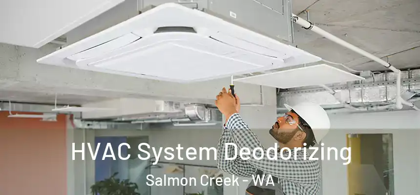  HVAC System Deodorizing Salmon Creek - WA