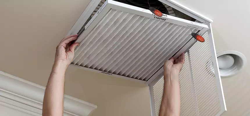 Preventive Cockroach-Proofing for Ducts in Salmon Creek