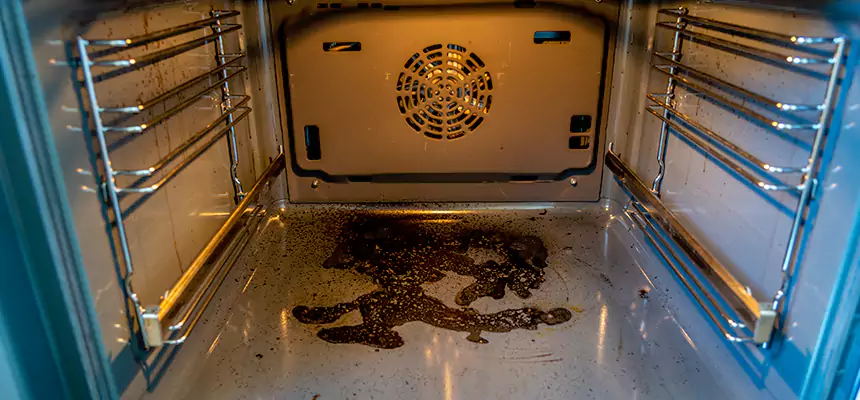 Our Dryer Vent Mold Cleaning Services in Salmon Creek, WA