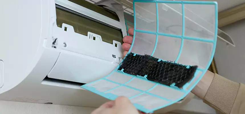 Gentle Ductwork Odor-Control Pet Dander Duct Cleaning in Salmon Creek, WA