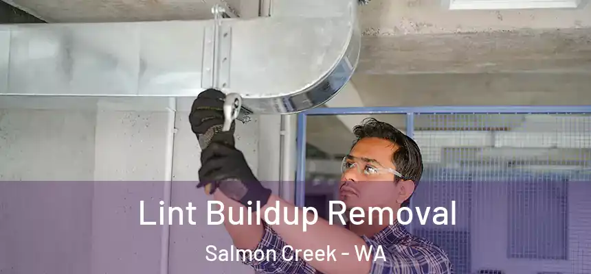  Lint Buildup Removal Salmon Creek - WA