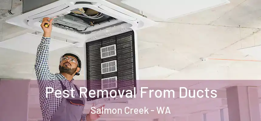  Pest Removal From Ducts Salmon Creek - WA