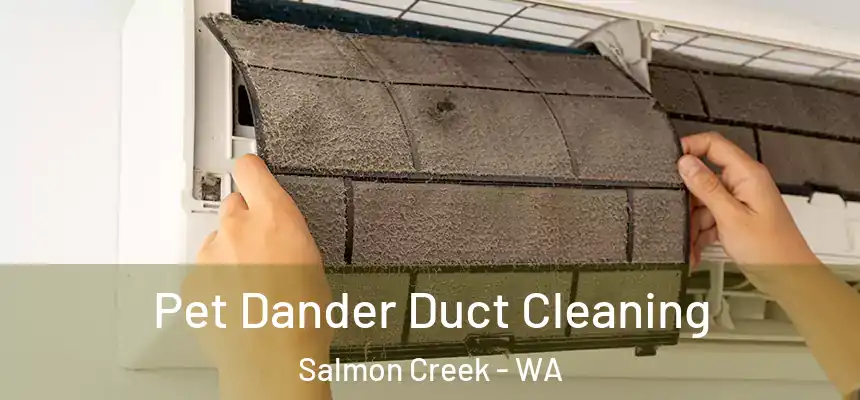  Pet Dander Duct Cleaning Salmon Creek - WA