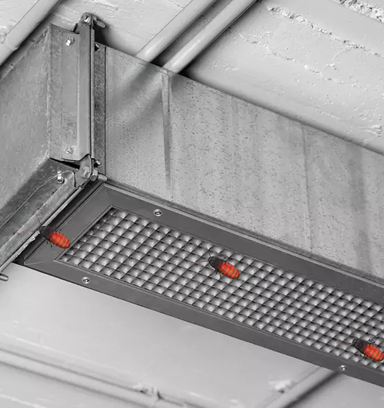 About Air Duct Cockroach Removal in Salmon Creek, WA