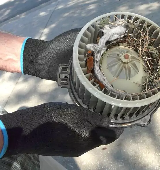 About Air Duct Mice Removal in Salmon Creek, WA