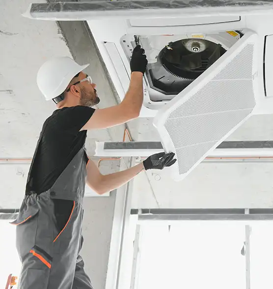 About Air Duct Rodent Removal in Salmon Creek, WA