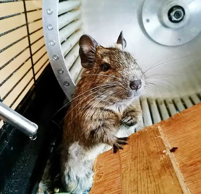 Why Homeowners & Businesses Trust Us Salmon Creek, WA