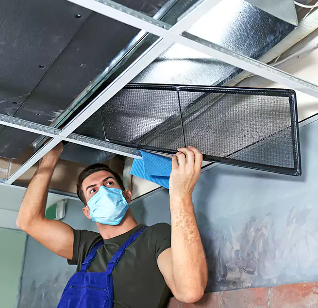 Why Homeowners Businesses Trust Us in Salmon Creek, WA