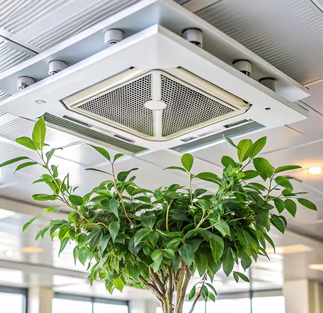 Why Homeowners & Businesses Trust Us in Salmon Creek, WA